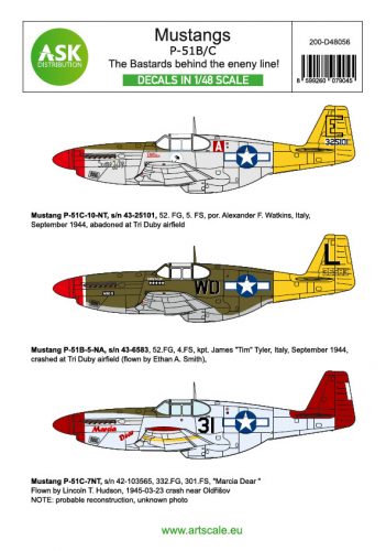 Art Scale - 1/48 P-51B Mustang - The Bastards behind the enemy lines!