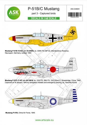 Art Scale - 1/48 P-51B/C Mustang part 3 - Captured birds