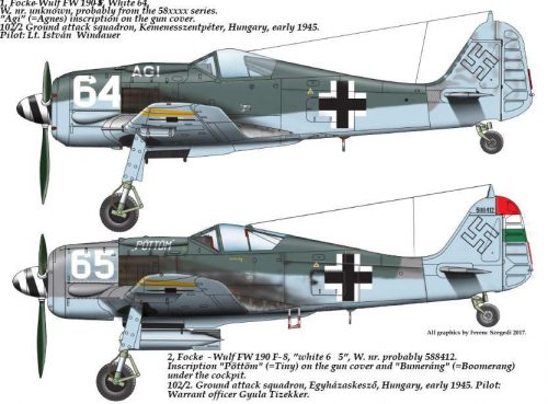 Had models - FW-190 F-8 ( 64 ”Ági”, 65”PÖTTÖM”) decal sheet 1:48