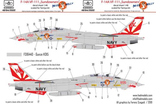 Had models - F-14A VF111