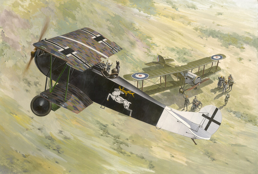 Roden - Fokker D.VII (Albatros built, early) - Megamakett.hu